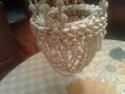 Vtg 60s 70s Cowrie Sea Shell Hanging Plant Holder Hanger 29"  Boho Mid Century — photo 6
