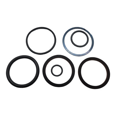 Jacobsen 502960 Seal Kit Cylinder Repair Kit Bruning 19012-203 OEM NOS Missing S