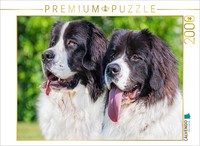 Calvendo Puzzle Portrait Of Two Landseer | 2000 Pieces, Finished Size 35.4 × 26.