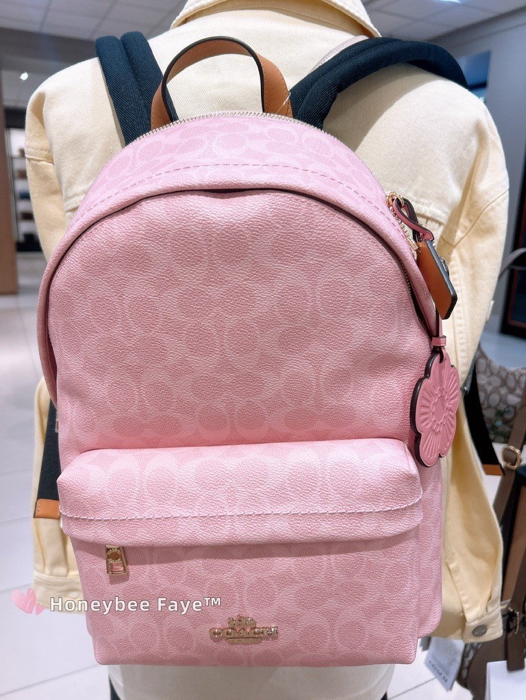 NWT Coach CEF46 Taylor Small Backpack In Signature Canvas With