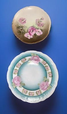 Vtg Floral Plates (2) Hand-Painted Pretty Porcelain Austria & Unknown NICE READ