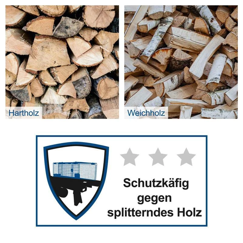 Bild 5 von 12