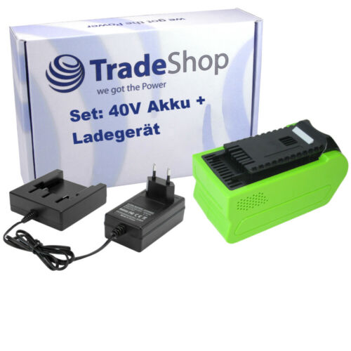 Lot : Batterie Li-Ion 40V 5Ah + Chargeur Adapté Greenworks G40LM45K2X G40LM45  - Photo 1/9