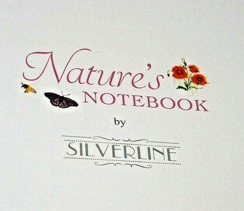 Geburtstagskarte. Gelbes Gänseblümchen Motiv. Nature's Notebook Sortiment. - Bild 5 von 5