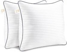 Throw Pillows Insert, 18'' X 18'' Set of 2, Decorative for Couch, Sofa or Bed...