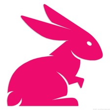 Bunny Rabbit - Decal Sticker - Multiple Colors Sizes - Ebn6617 Bunny Rabbit - Decal Sticker - Multiple Colors Sizes - Ebn6617