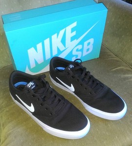 nike charge skate shoes