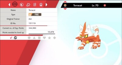 Pokemon Schwert & Schild Shiny Torracat 6IV Max EVs