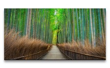 120x60cm Leinwandbild Bambuswald Bambus Asien Weg Natur Harmonie