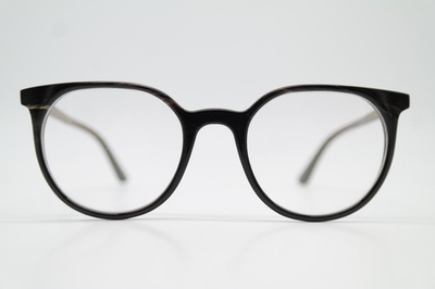 #ad Hoffmann 2283 H17 Natural Horn Brown White Oval Eyeglass Frame New $260.05