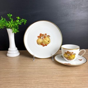 Hutschenreuther Trio | eBay