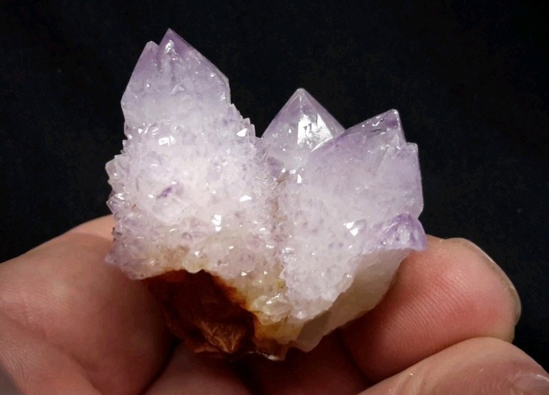 2" CACTUS QUARTZ AMETHYST AMETRINE from Mpumalanga, South Africa 