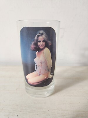 #ad 70#x27;s SIP n Strip Ladies Peek a boo Spencer Gift Libbey drinking highball glass $24.99