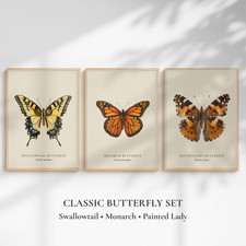 Butterfly Prints Set of 3 | Swallowtail Monarch Painted Lady Art