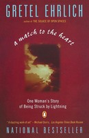 A Match To The Heart One Woman's Story Of Being Struck By Lightning Ehrlich Buch