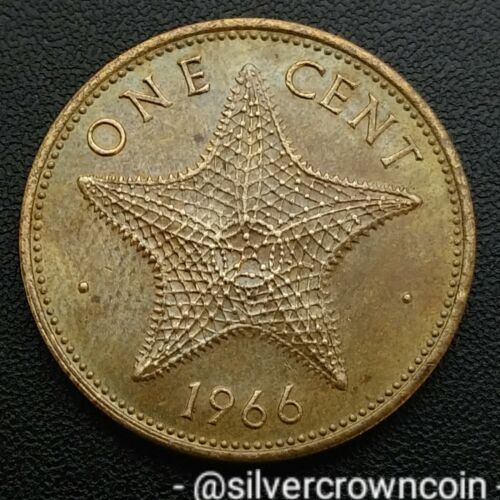 Bahamas 1 Cent 1966. KM#2. One Penny coin. Starfish. Elizabeth ll. First year. - Picture 1 of 7