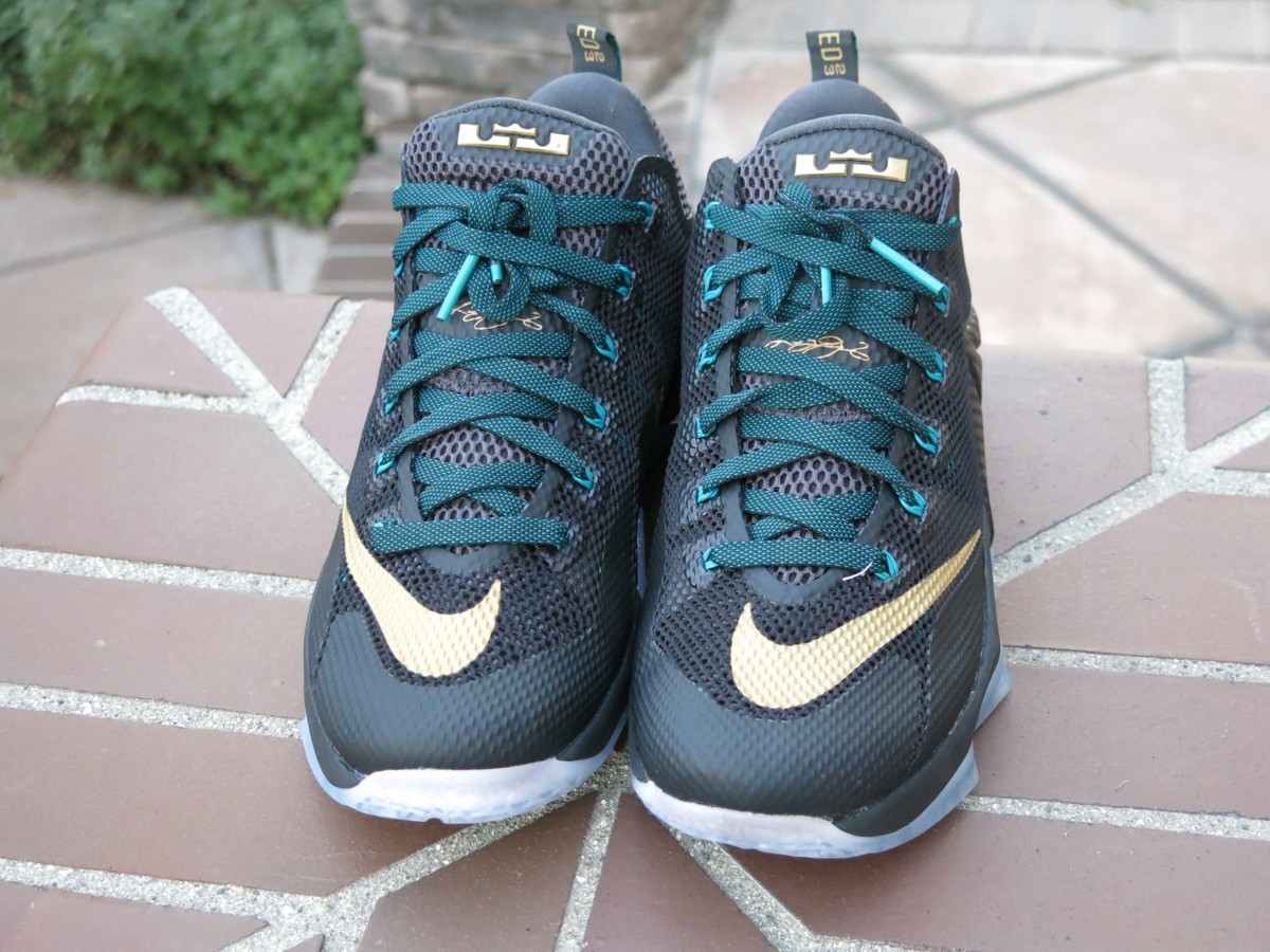 NIKE - NIKE LEBRON Ⅻ LOW EP Nike Lebron XII Low Men's Basketball Sneakers 724557-014 | eBay