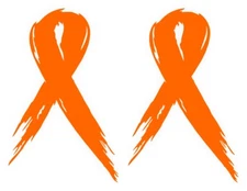 (2) Leukemia Awareness Vinyl Stickers Childhood Cancer Window Decals Ribbons
