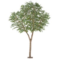 Kunstpflanze Ficus Benjamina, HöHe Ca. 310 Cm