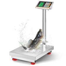 Bonvoisin Digital Platform Scale with Stainless Steel Platform 660LBs Heavy