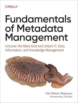 Fundamentals of Metadata Management : Uncover the Meta  - Trade Paperback NEW Ol