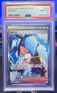 Dendra Sar Japanese | eBay