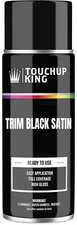 Trim Black Satin Automotive Aerosol Spray Paint Can