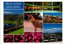 Palm Desert California Postcard Multi View Resort Recreation