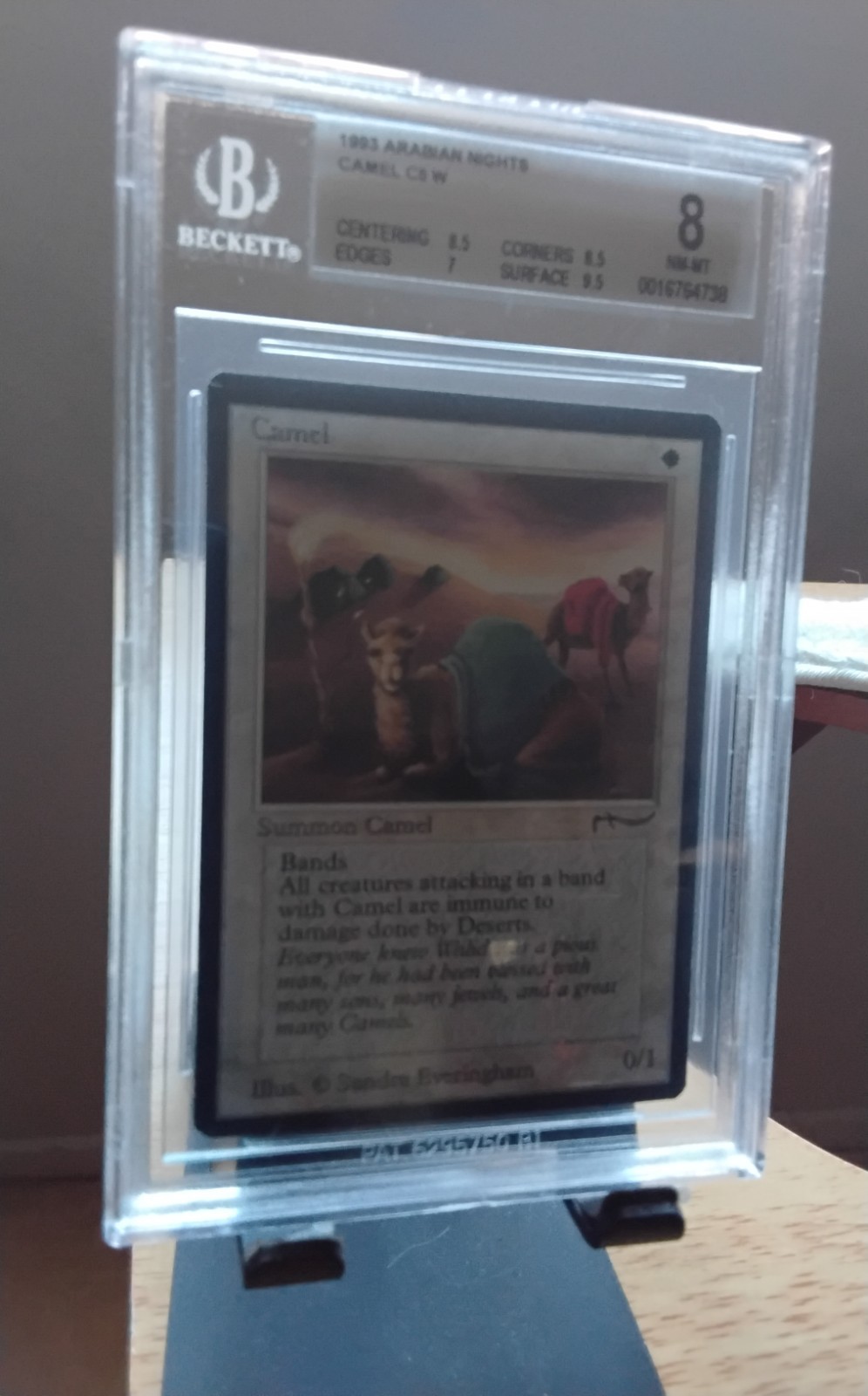 MTG Arabian Nights 1993 Camel BGS 8 NM/MT Old School 93/94 population 6