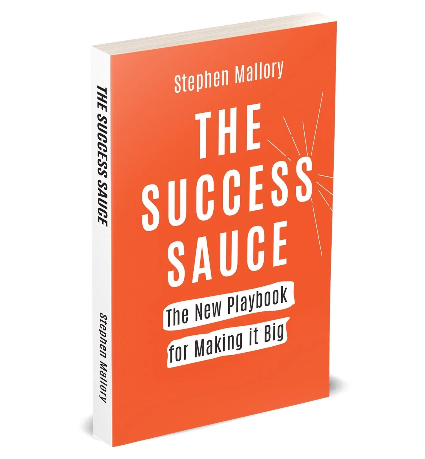 THE SUCCESS SAUCE: The New Playbook For Making it Big by Stephen Mallory