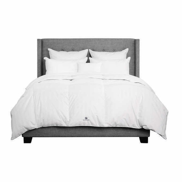 Pacific Coast King Goose Down Comforter Feather Medium Cotton For