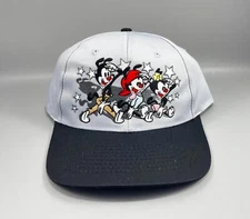 Vintage Warner Bros 1994 Animaniacs Embroidered Snapback Hat Cap Gray New