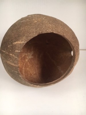 Vivarium 100% Natur Schale 1 Loch Fell trocken sicher ca. Größe 10 x 10 x 9 cm