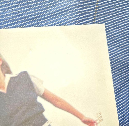THE VIRGIN SUICIDES 1999 Movie Brochure pamphlet Program Book Sofia Coppola Used - Picture 5 of 6
