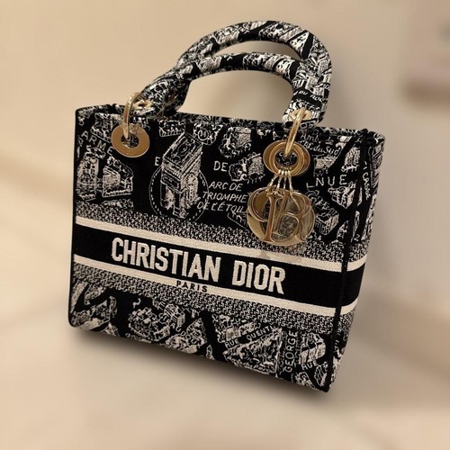 Christian Dior Lady D-Lite Hand Tote bag Plan de Paris Canvas Black White Women