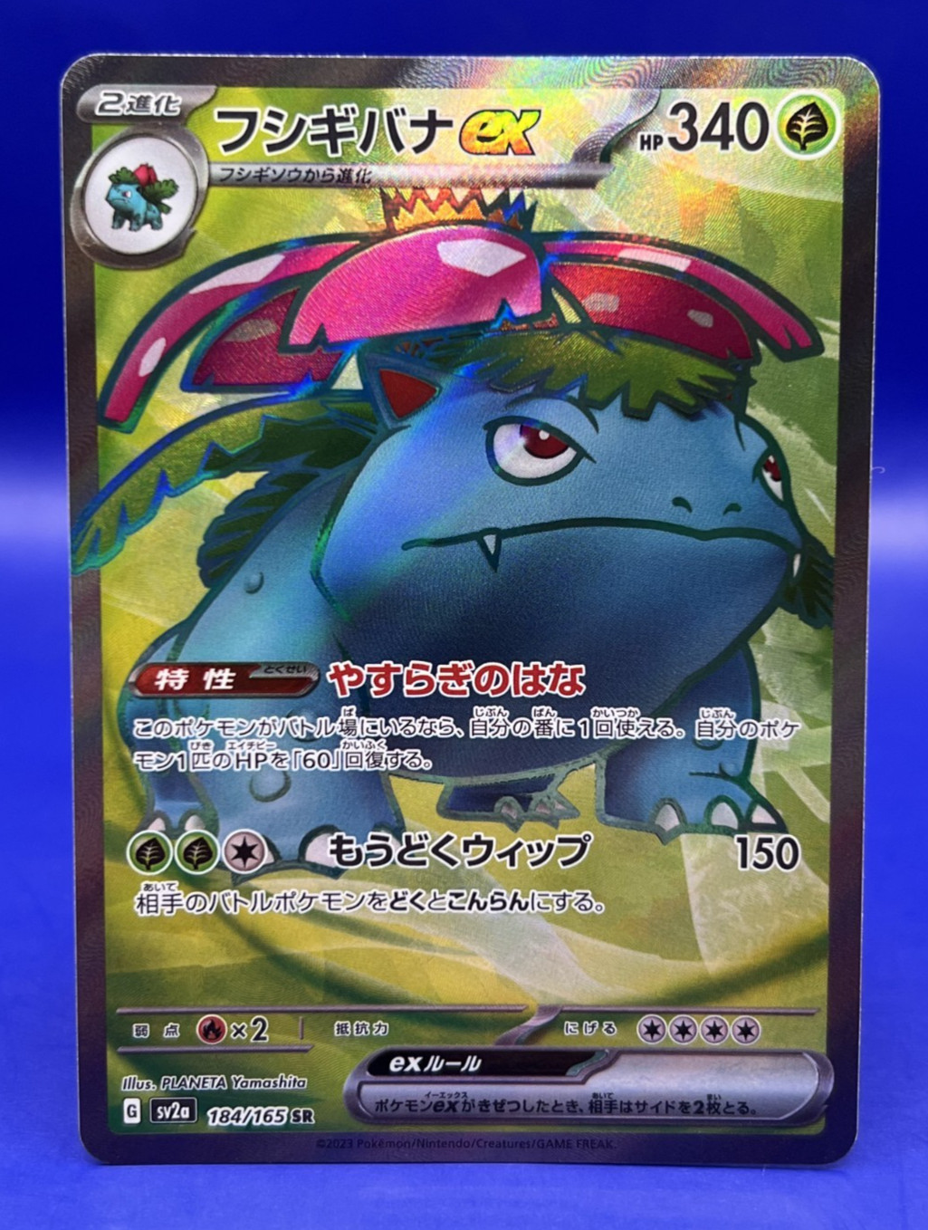 2023 Venusaur ex SR 184/165 Pokemon 151 SV2a Japan Card Scarlet Violet NM