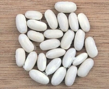 120 NON-GMO Navy Pea Beans (Michigan Pea) Seeds – Free Shipping