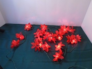 String of Lights Flower Poinsettia
