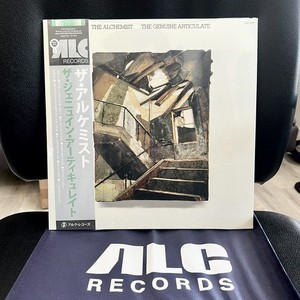 The Genuine Articulate Vinyl | eBay