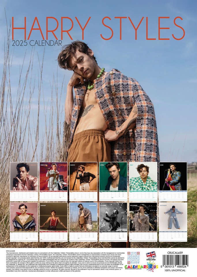 HARRY STYLES CALENDAR 2025 LARGE ( 297mm X 420mm ) WALL A3 SIZE NEW