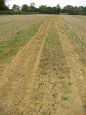 Photo 12x8 Field by Rowhook Manor The sandy and stubbly field is dry and c c2010