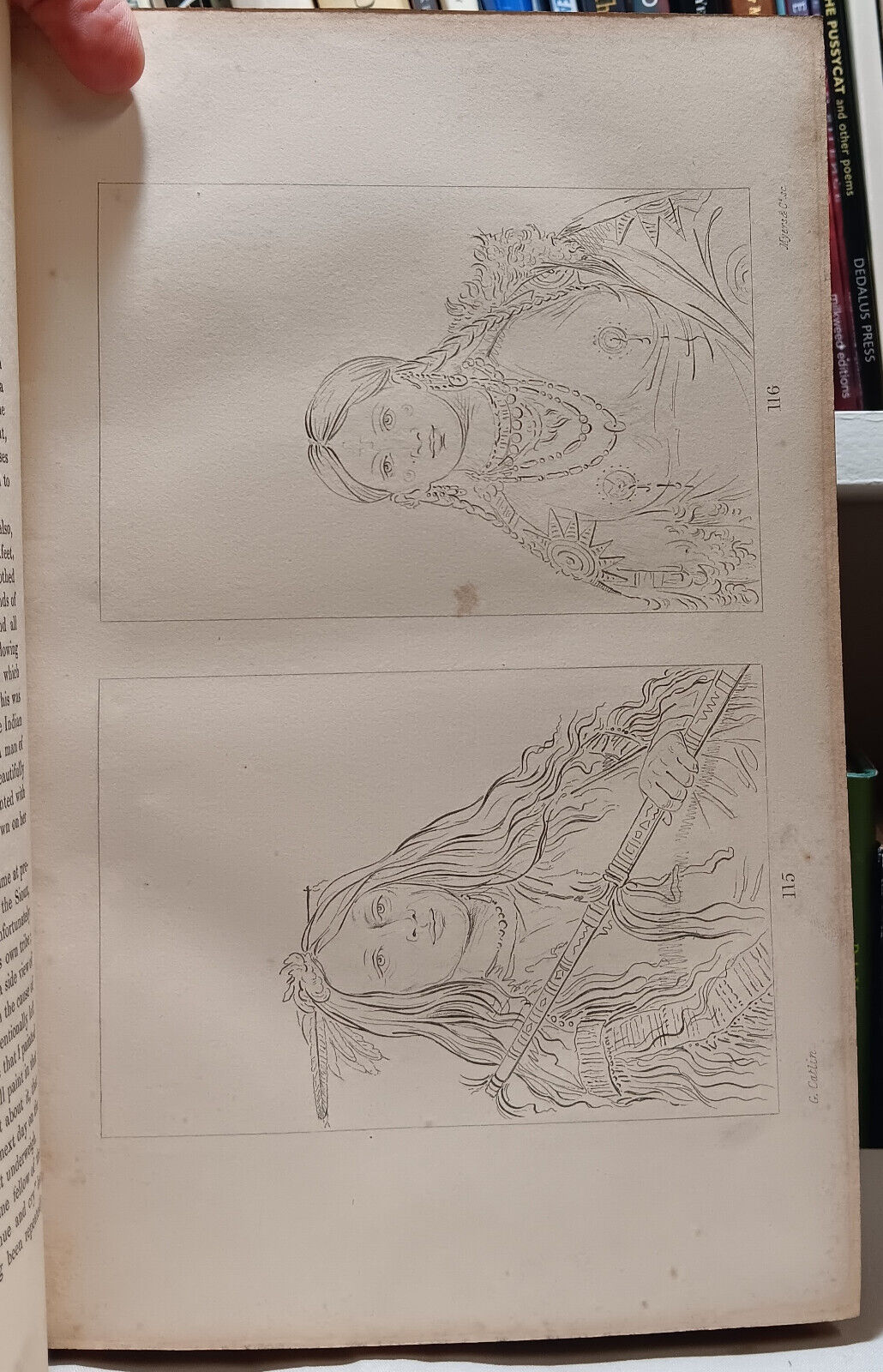Picture 11 of 12