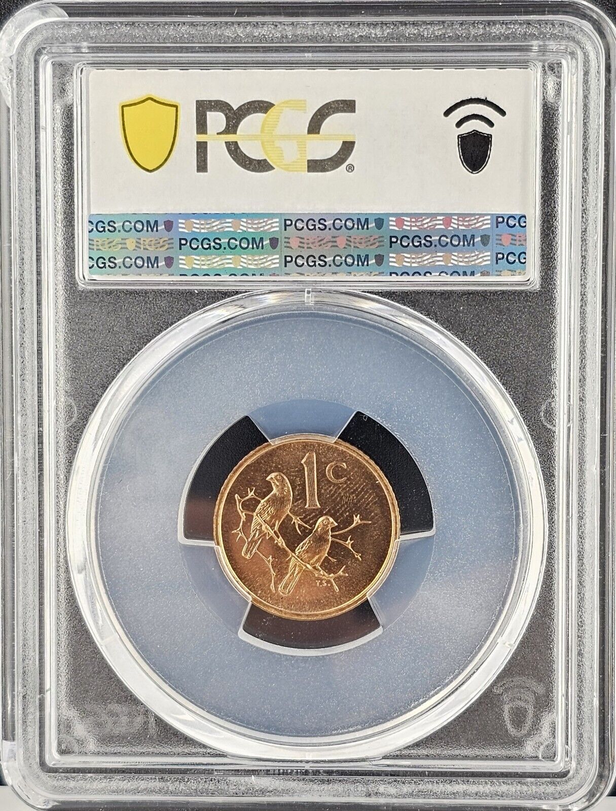 Picture 3 of 4
