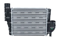 NEU - NRF 309077 LadeluftküHler FüR CitroËN Passend FüR Fiat Opel Peugeot