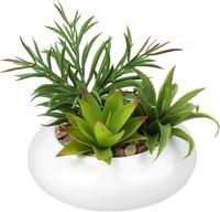Kunstpflanze Sukkulente Im Keramiktopf 18 Cm Deko FüR Wohnzimmer Balkon