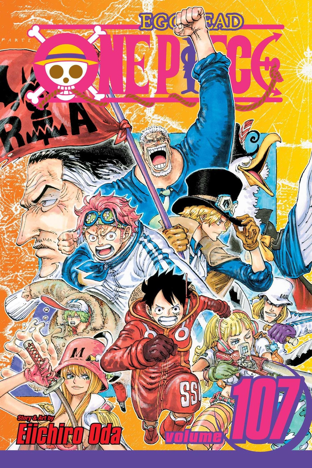 One Piece, Vol. 107 (Volume 107).by Oda New 9781974749799 Fast Free Shipping**