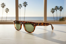 EYEVAN Sunglasses 329 301G DK G15 49-24-145