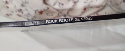 Genesis "Rock Roots" EXTREMELY RARE Australia 1976 12" vinyl; tree roots cover - Picture 15 of 24
