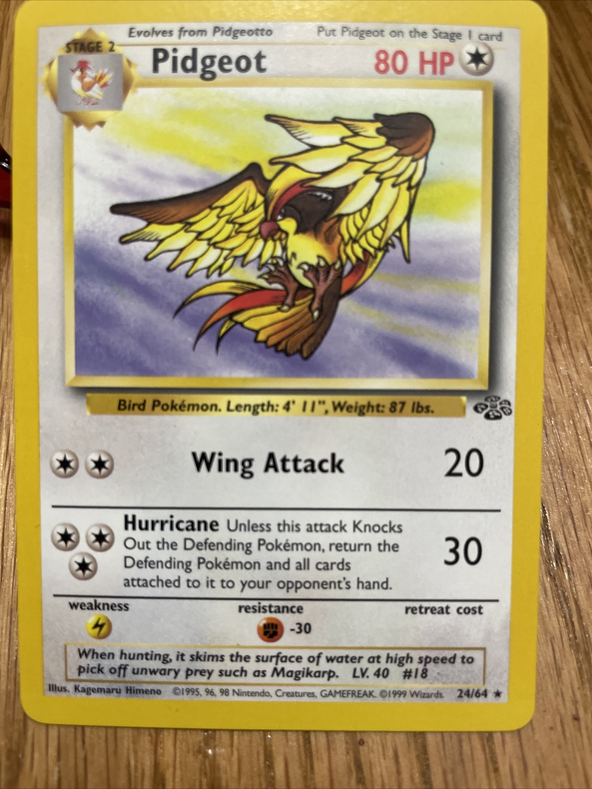 PIDGEOT Pokemon Card - WOTC - 1st Edition - Jungle - 24/64 - NM