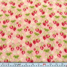 Meadowsweet Sandi Henderson Strawberry Fields Michael Miller Cotton Remnant 13"